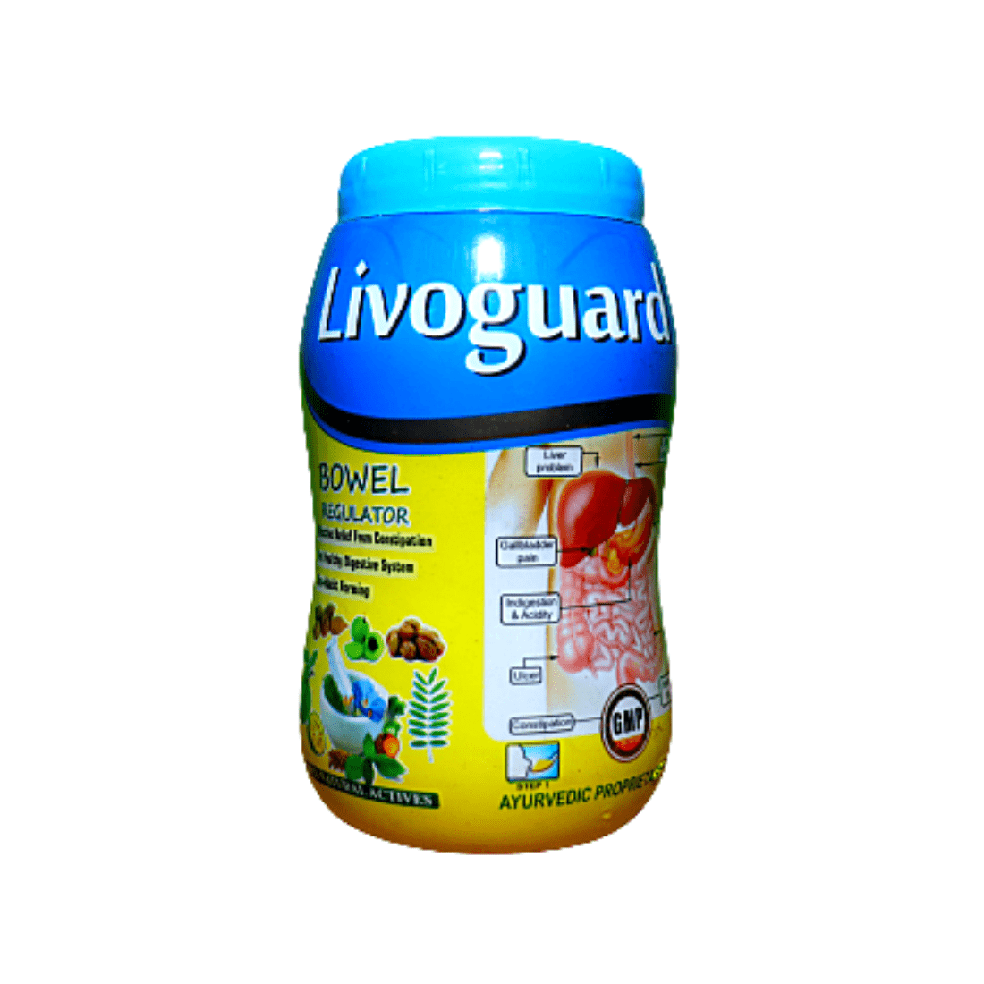 Buy Ayurvedic Livoguard Churna For Bowel Regulator (Pack of 3)