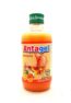 Antagel Antacid Tonic