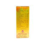 SB Health fit syrup for better health of children 100ML (Pack Of 3)