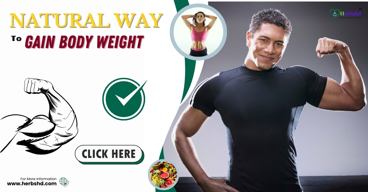 Natural Way to Gain Body Weight