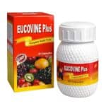 Ayurvedic Polyvit 300 ml Syrup and Eucovine Plus 30 Capsule for Vitamin